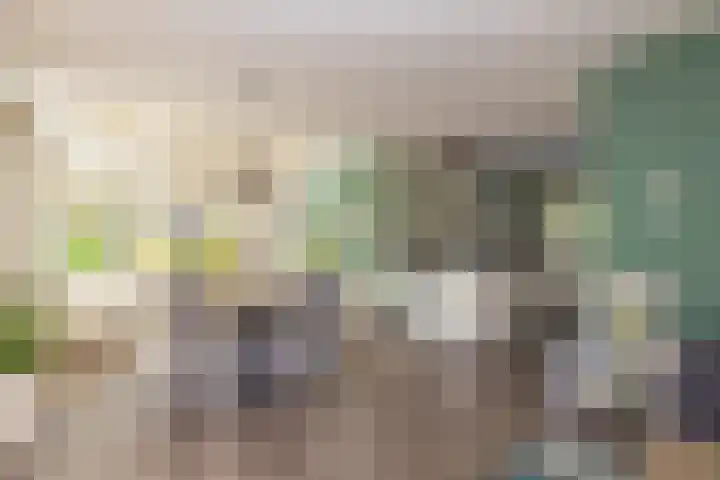 Tomatenlaan 20 Den Haag thumbnail 10