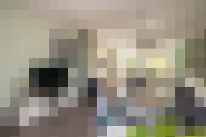 Tomatenlaan 20 Den Haag thumbnail 11