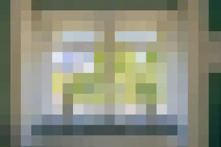 Tomatenlaan 20 Den Haag thumbnail 12