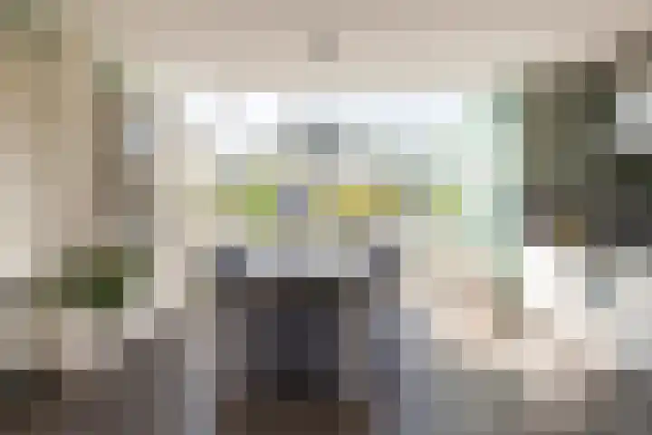 Tomatenlaan 20 Den Haag thumbnail 13