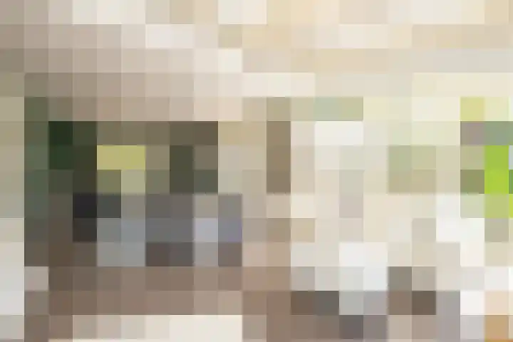 Tomatenlaan 20 Den Haag thumbnail 14