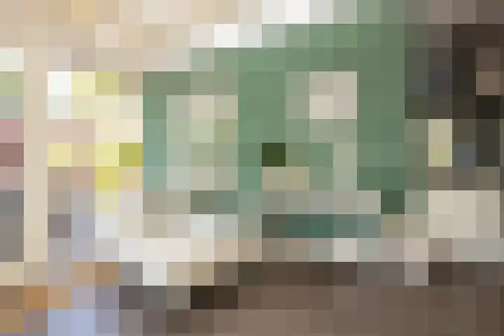 Tomatenlaan 20 Den Haag thumbnail 15