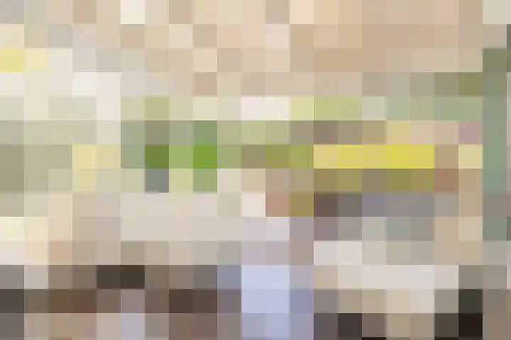 Tomatenlaan 20 Den Haag thumbnail 16