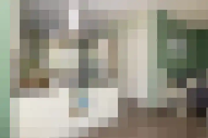 Tomatenlaan 20 Den Haag thumbnail 17
