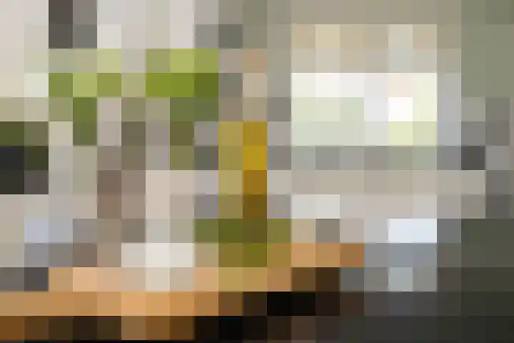 Tomatenlaan 20 Den Haag thumbnail 18