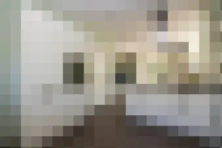 Tomatenlaan 20 Den Haag thumbnail 19