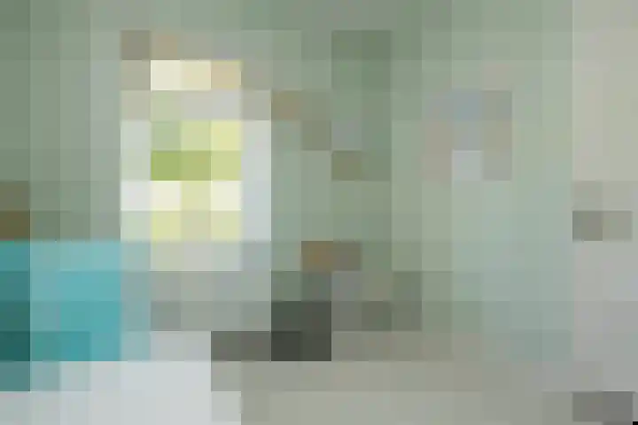 Tomatenlaan 20 Den Haag thumbnail 23