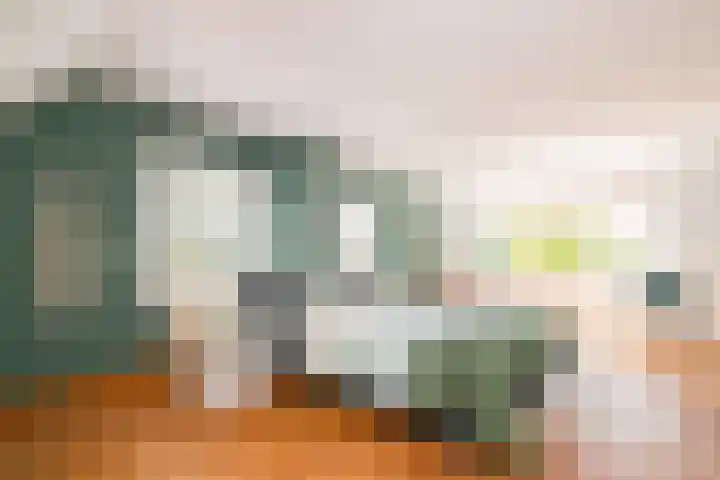 Tomatenlaan 20 Den Haag thumbnail 25