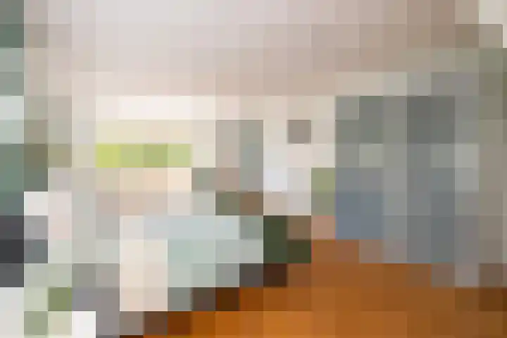 Tomatenlaan 20 Den Haag thumbnail 26