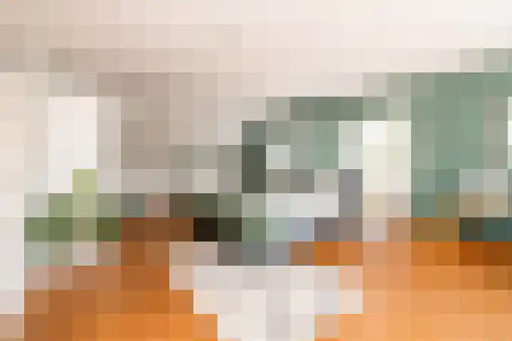 Tomatenlaan 20 Den Haag thumbnail 27