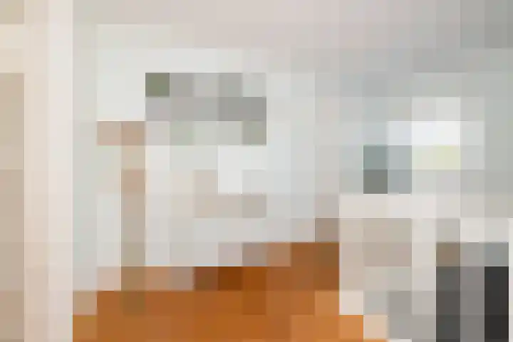 Tomatenlaan 20 Den Haag thumbnail 28