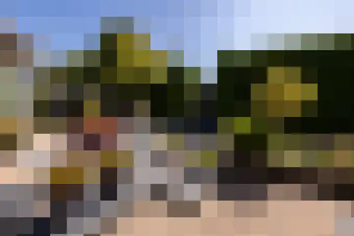 Tomatenlaan 20 Den Haag thumbnail 32