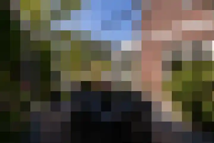 Tomatenlaan 20 Den Haag thumbnail 33