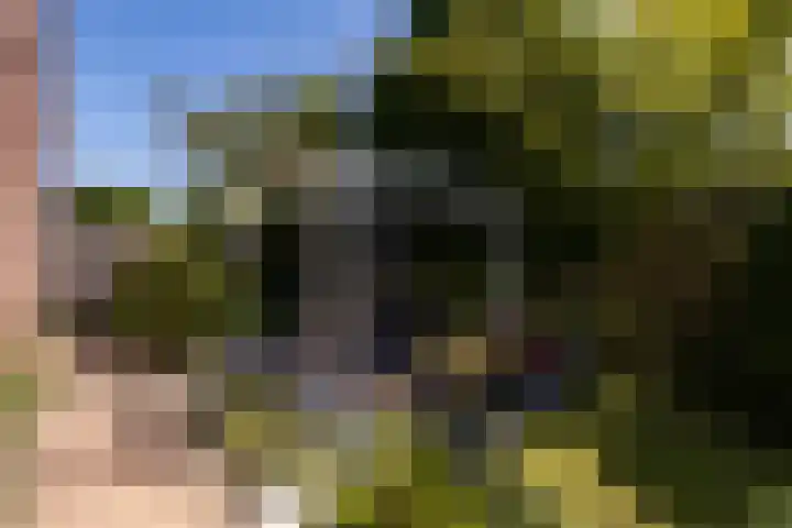 Tomatenlaan 20 Den Haag thumbnail 34
