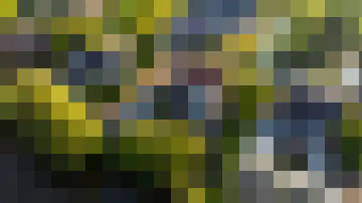 Tomatenlaan 20 Den Haag thumbnail 4