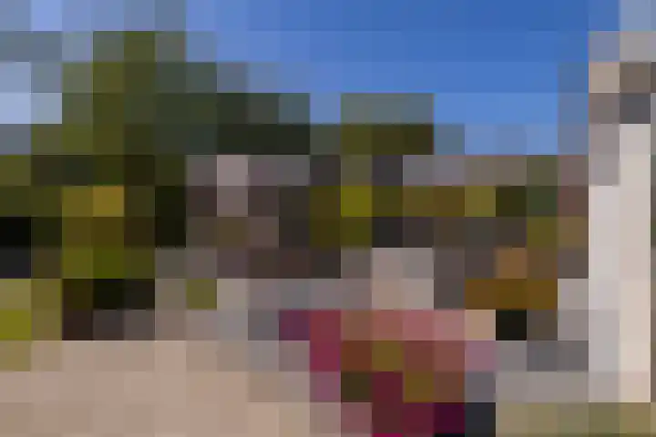 Tomatenlaan 20 Den Haag thumbnail 40