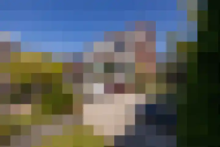 Tomatenlaan 20 Den Haag thumbnail 41