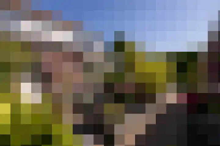 Tomatenlaan 20 Den Haag thumbnail 42