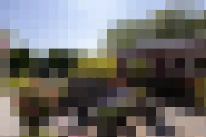 Tomatenlaan 20 Den Haag thumbnail 43
