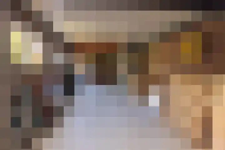 Tomatenlaan 20 Den Haag thumbnail 47