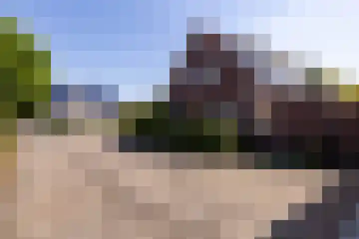 Tomatenlaan 20 Den Haag thumbnail 48