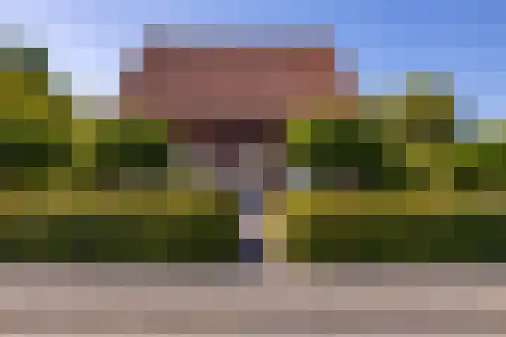 Tomatenlaan 20 Den Haag thumbnail 5