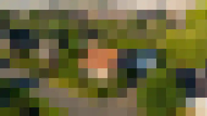 Tomatenlaan 20 Den Haag thumbnail 50