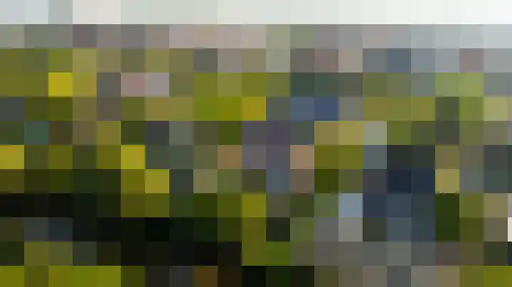 Tomatenlaan 20 Den Haag thumbnail 51