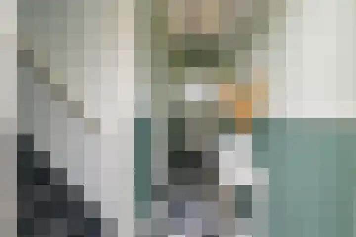 Tomatenlaan 20 Den Haag thumbnail 7
