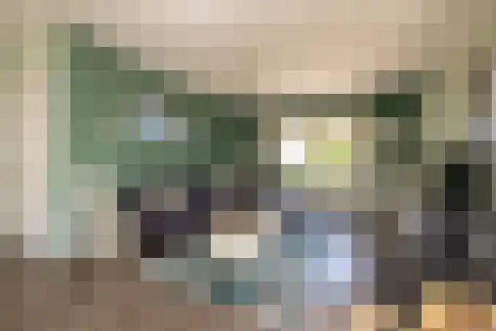 Tomatenlaan 20 Den Haag thumbnail 8