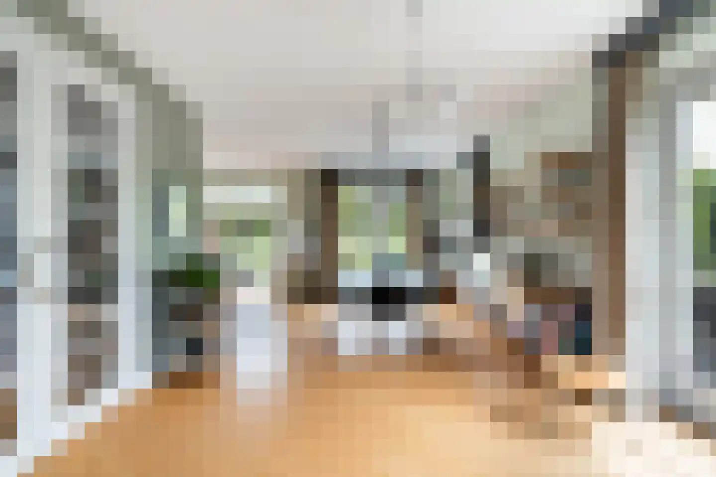 Tomatenlaan 3 C Den Haag thumbnail 10