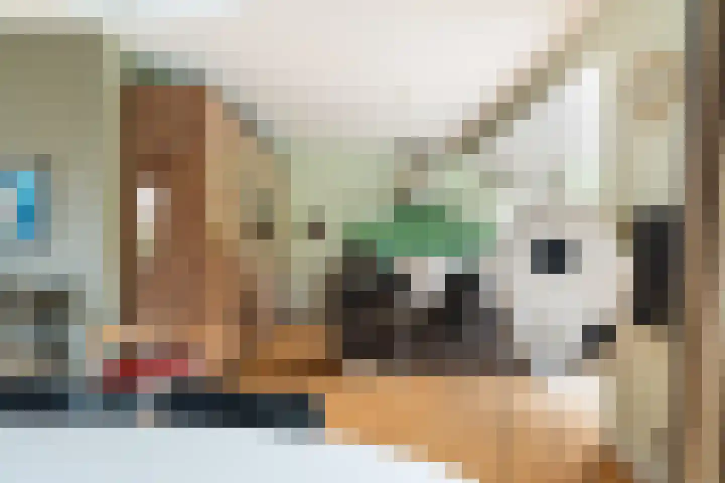 Tomatenlaan 3 C Den Haag thumbnail 12