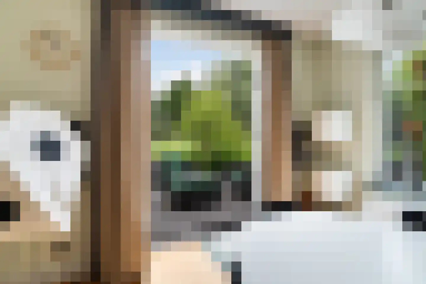 Tomatenlaan 3 C Den Haag thumbnail 13