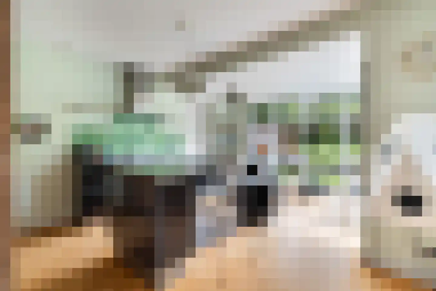 Tomatenlaan 3 C Den Haag thumbnail 14