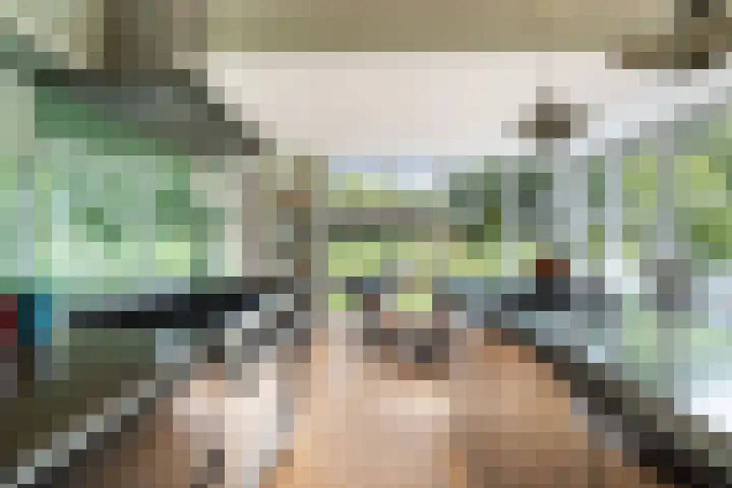 Tomatenlaan 3 C Den Haag thumbnail 15