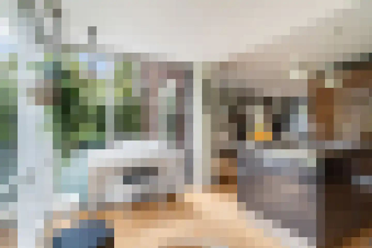 Tomatenlaan 3 C Den Haag thumbnail 16