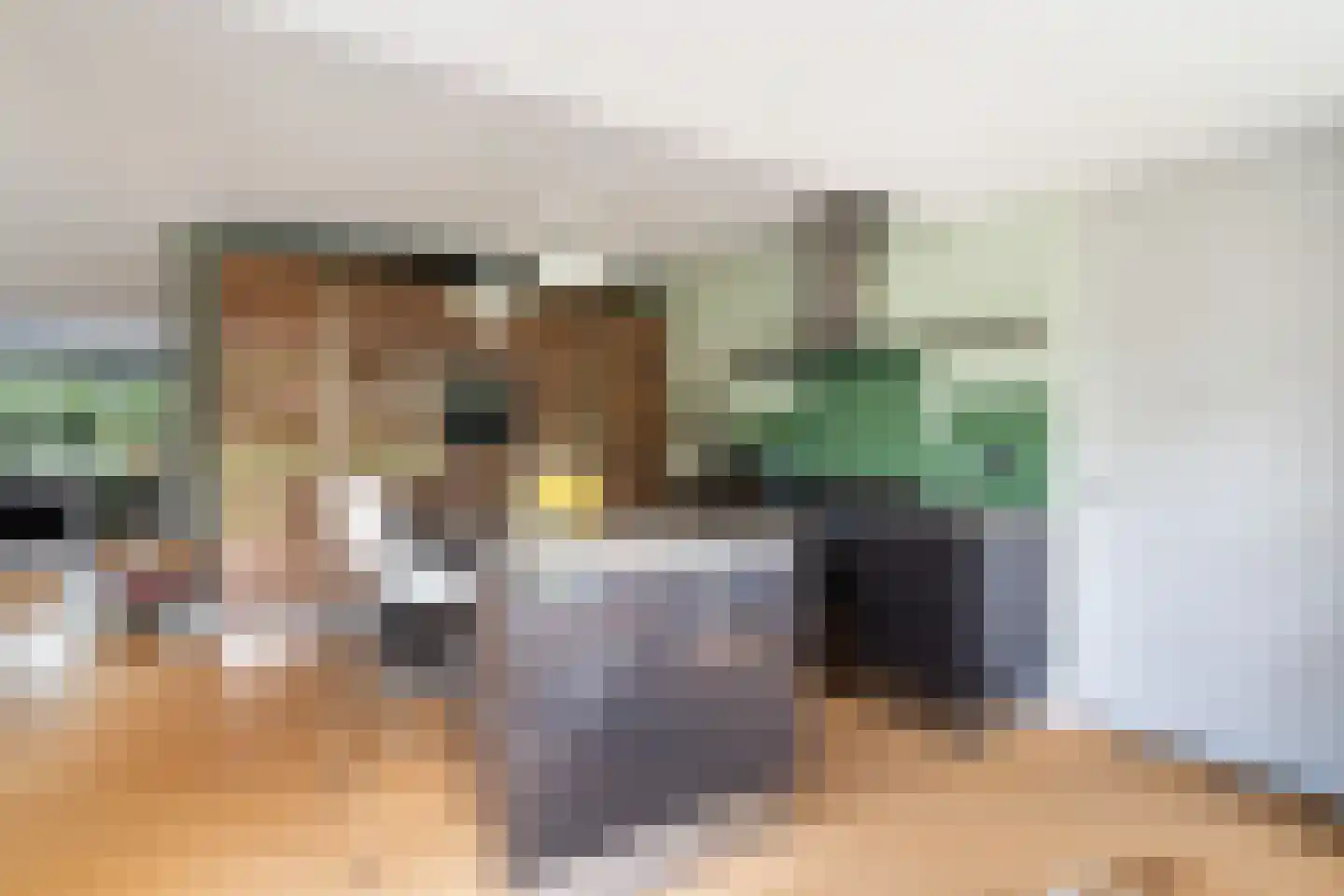 Tomatenlaan 3 C Den Haag thumbnail 17