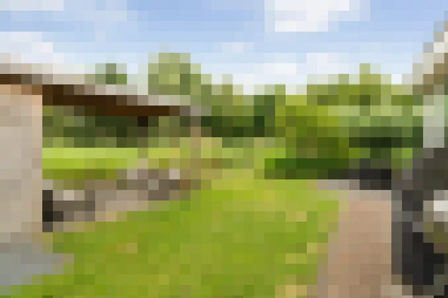 Tomatenlaan 3 C Den Haag thumbnail 19
