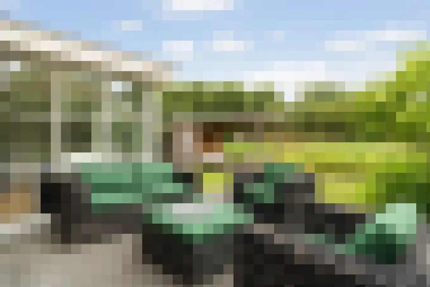 Tomatenlaan 3 C Den Haag thumbnail 20