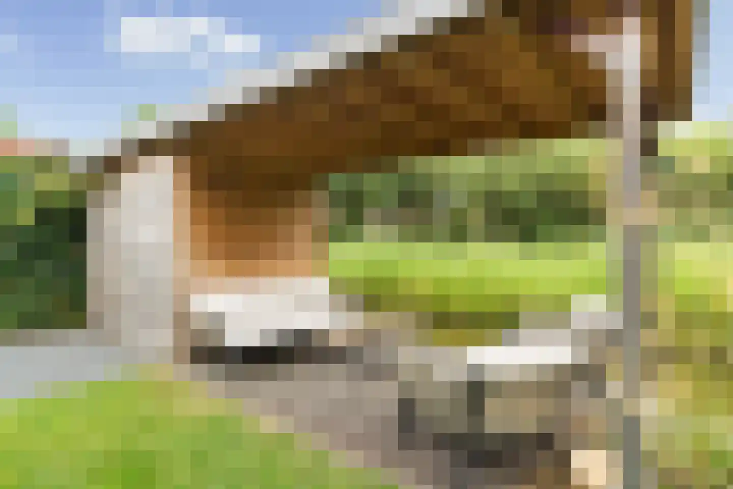 Tomatenlaan 3 C Den Haag thumbnail 23