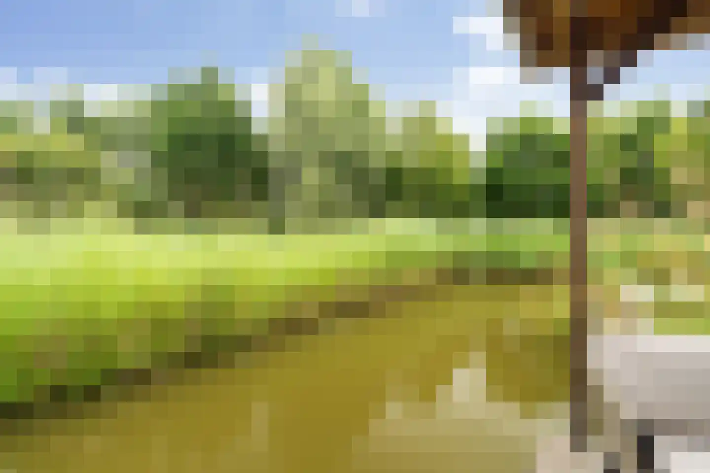 Tomatenlaan 3 C Den Haag thumbnail 24