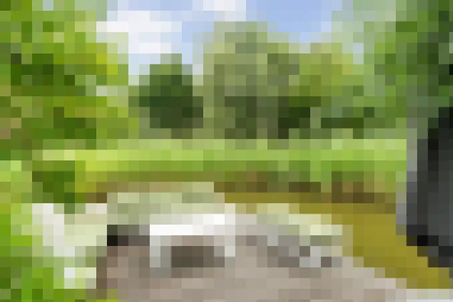 Tomatenlaan 3 C Den Haag thumbnail 25