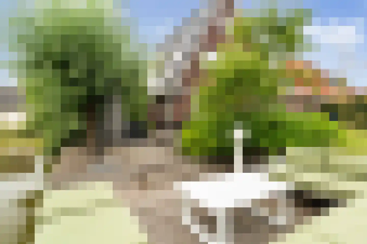 Tomatenlaan 3 C Den Haag thumbnail 26