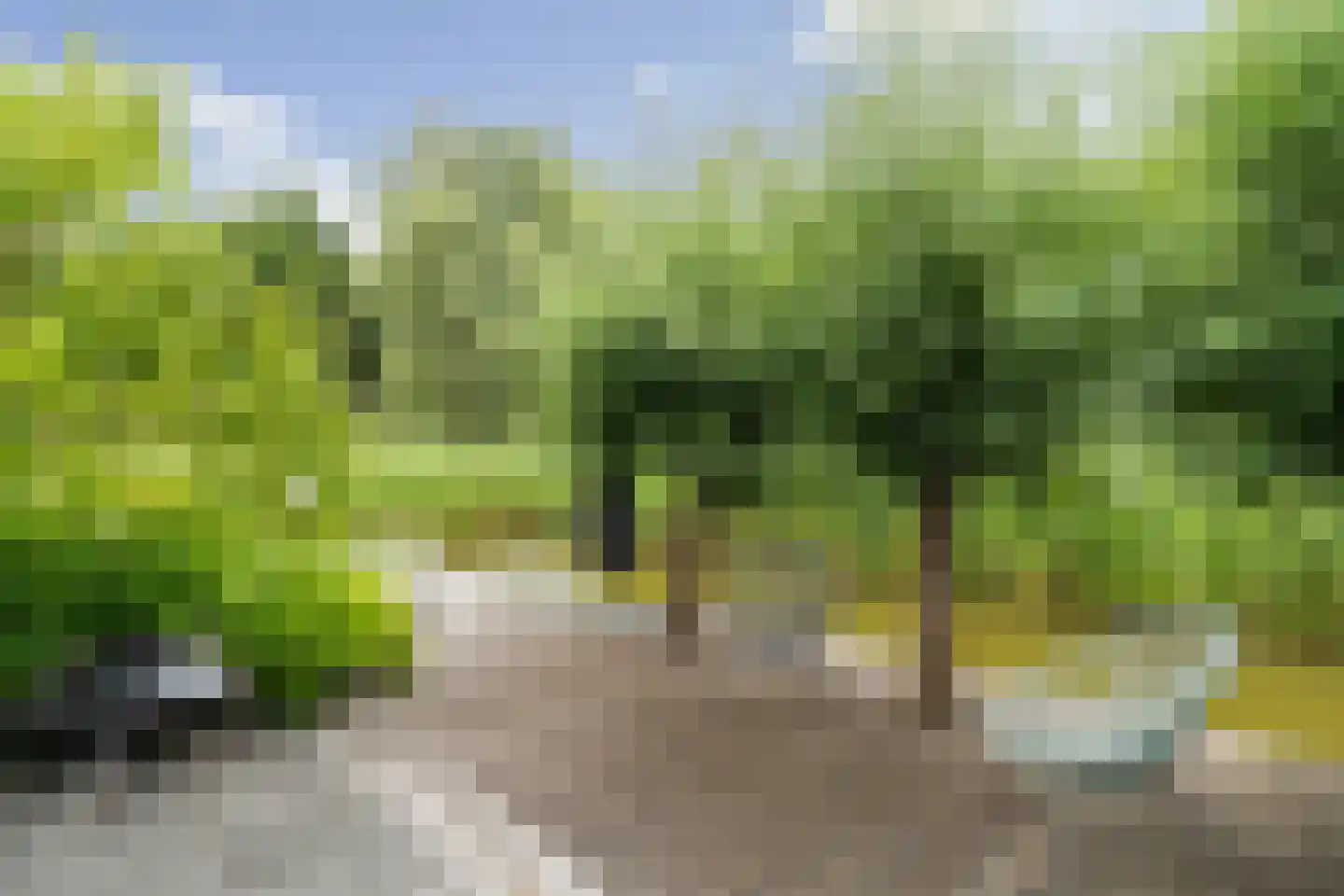 Tomatenlaan 3 C Den Haag thumbnail 27
