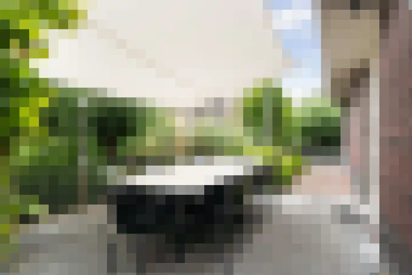 Tomatenlaan 3 C Den Haag thumbnail 29