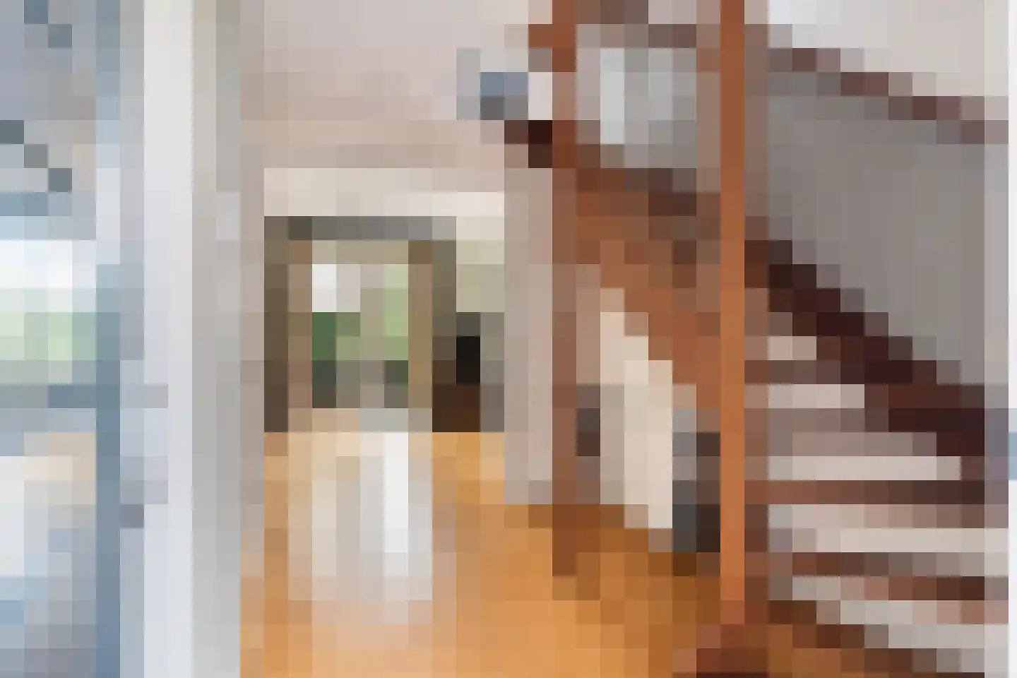 Tomatenlaan 3 C Den Haag thumbnail 31
