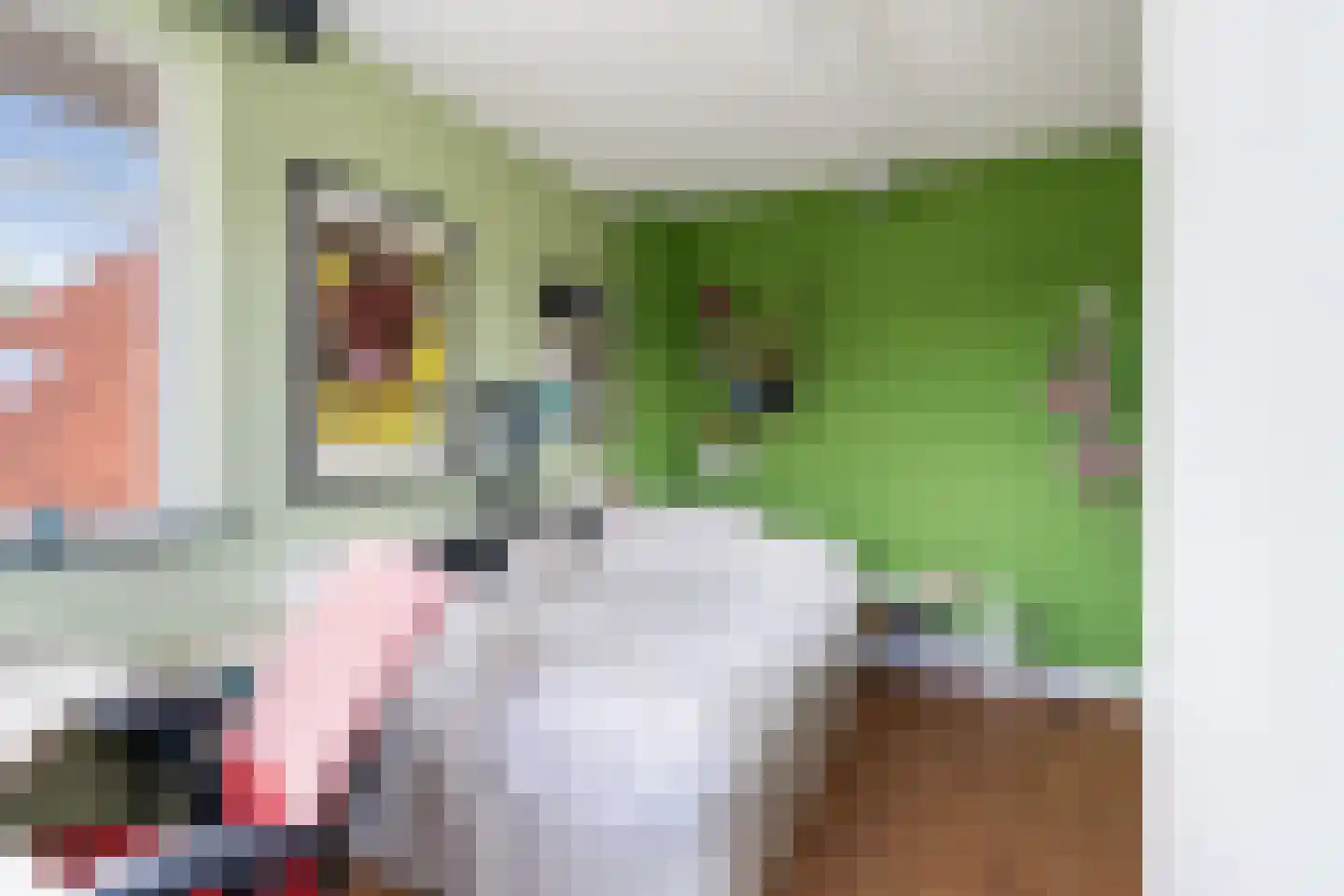 Tomatenlaan 3 C Den Haag thumbnail 38