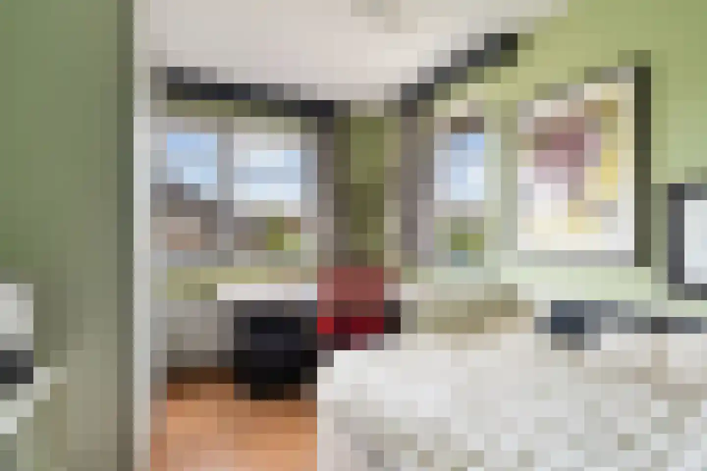 Tomatenlaan 3 C Den Haag thumbnail 39