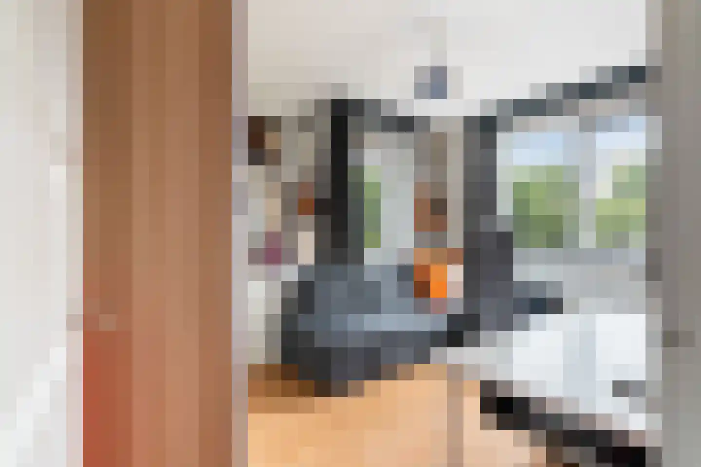 Tomatenlaan 3 C Den Haag thumbnail 41