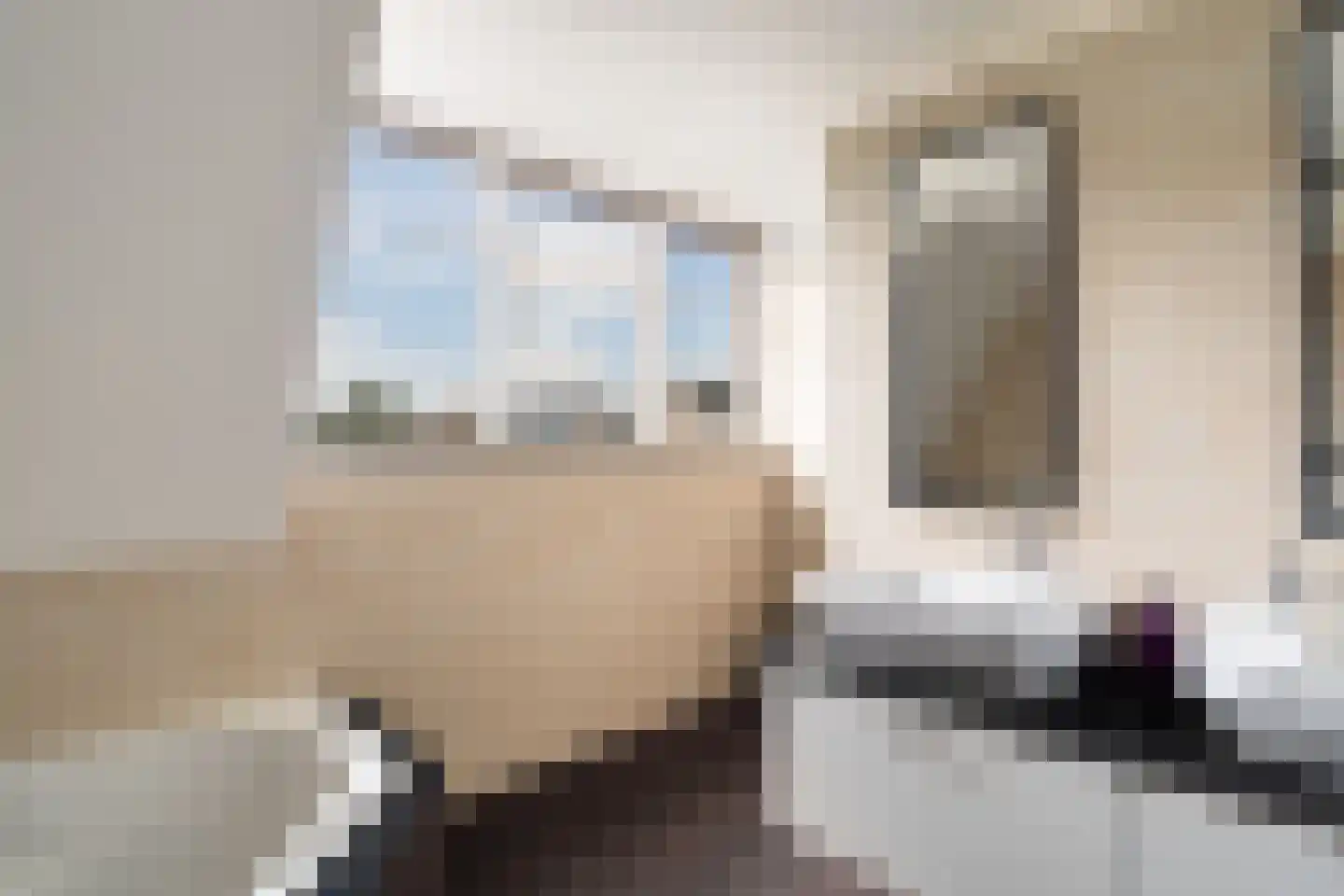 Tomatenlaan 3 C Den Haag thumbnail 45